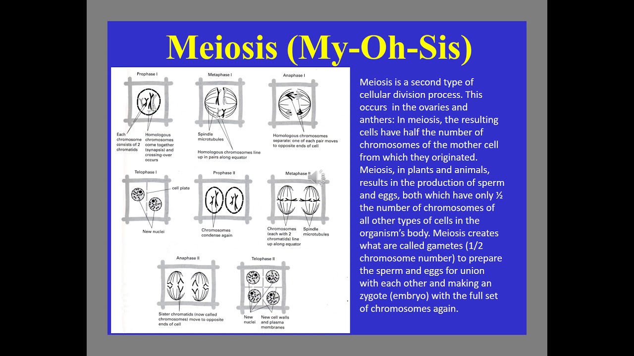 13 Biology of Propagation Part 1