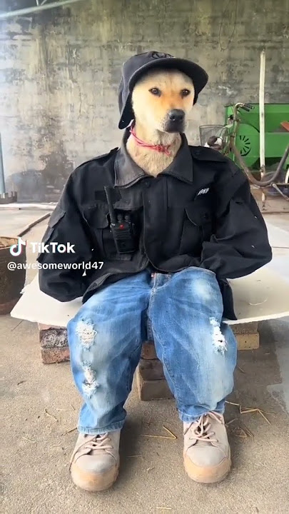 Funny Time! My Original Laughing Gianluca Marino #funny #laugh #risas #comedy #laughing #risa