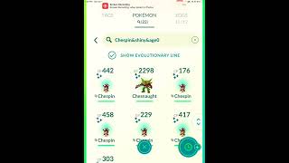 How. Many Shiny For Chespin Com Day??? I Got 22