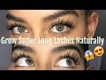 HOW TO GROW YOUR LASHES NATURALLY