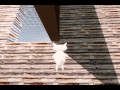 しょぼんのアクション3D すりーでぃぃぃな実況play vol.2