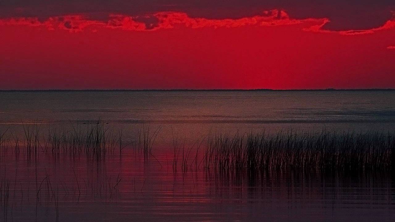 Watch Phynn - Solitude (Original Mix) on YouTube Watch Phynn - Solitude (Original Mix) on YouTube