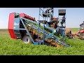 ASA-LIFT T-300 DF Bogomaz / Bryansk. Морковоуборочный комбайн / Carrot harvester