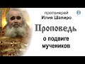 Проповедь о подвиге мучеников (2020.12.02). Протоиерей Илия Шапиро