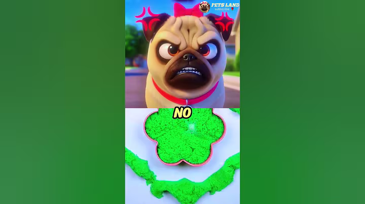 Be Careful What You Say, Son! 🐶😱🤫 #cute #pug #pets