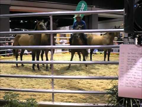 Guy McLean liberty training at WEG 2010 PART 1