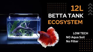 Ecosystem Dirt Planted Tank best for Betta fish, step by step Tutorial