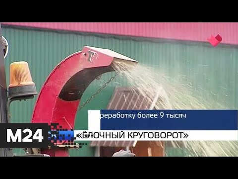 "Москва и мир": "Елочный круговорот" и зимние рекорды - Москва 24