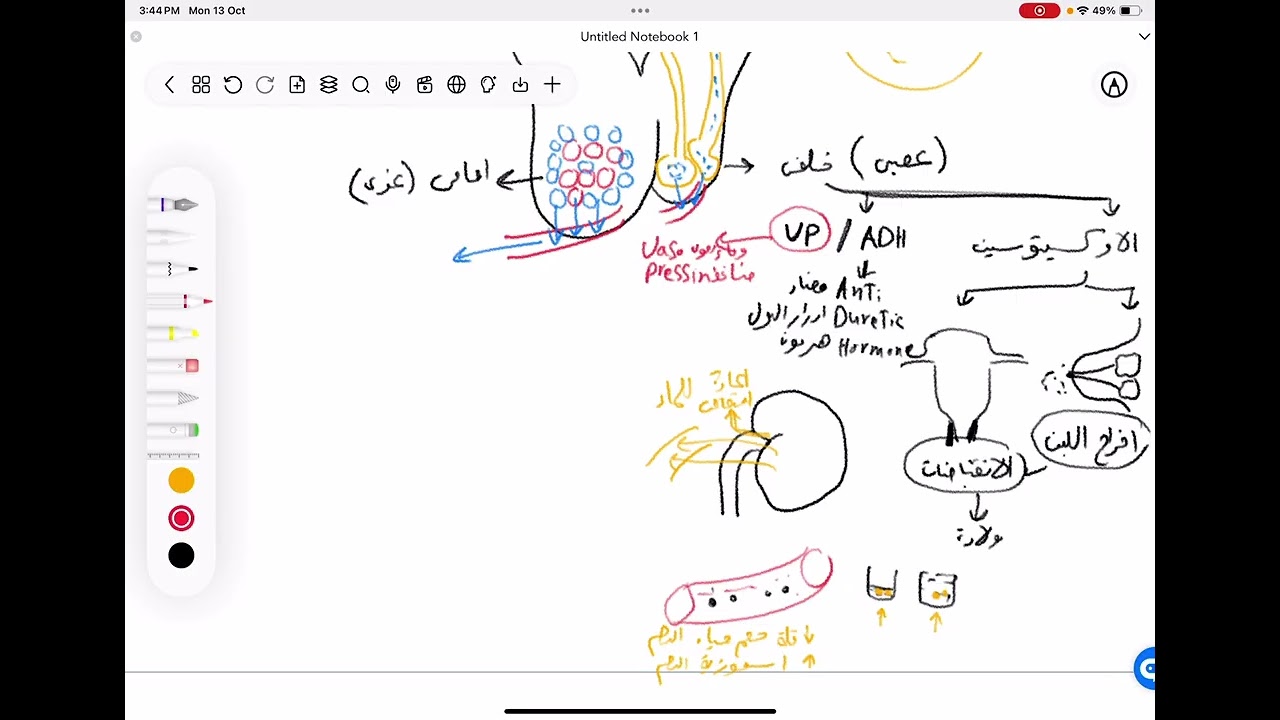 الغدة النخامية