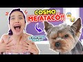 PRIMERA VEZ DE MI MASCOTA EN LA PISCINA!!🐶💦 LOGRO NADAR?? | Leyla Star 💫