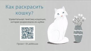 Анна Иванова. Как раскрасить кошку Анна Иванова. Как раскрасить кошку