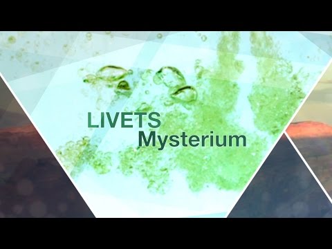Video: Mysteriet Med Livets Opprinnelse - Alternativt Syn