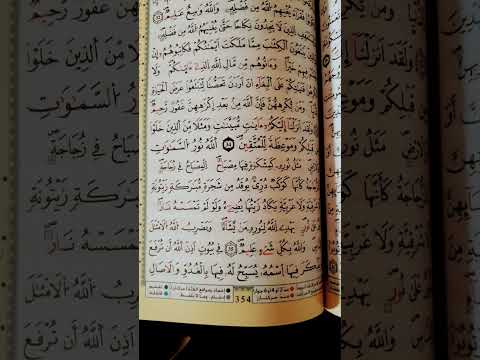 يكاد زيتها يضيء ولو لم تمسسه نار بصوت المنشاوي