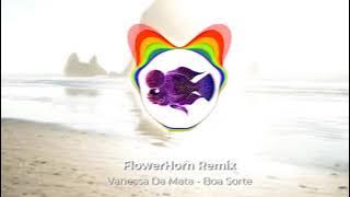 Vanessa da Mata - Boa Sorte (FlowerHorn Remix)