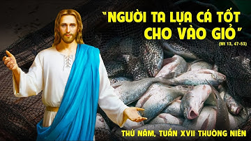 THỨ NĂM - TUẦN XVII THƯỜNG NIÊN -  Mt 13,47-53