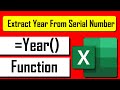 How to Use YEAR Function in Excel