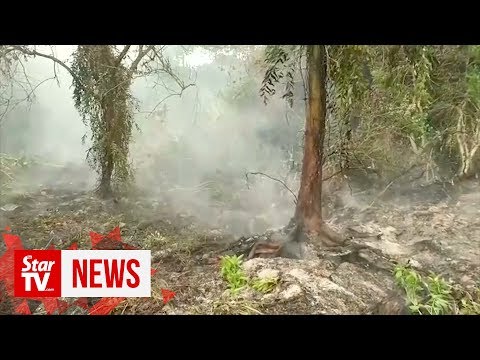 Four Malaysian firms behind fires at plantations, claims Indonesia