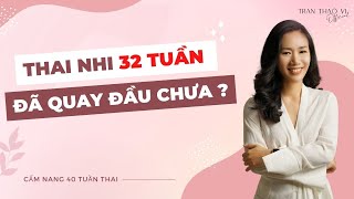 📌 Thai Nhi 32 Tuần Đã Quay Đầu Chưa ? | Cẩm Nang 40 Tuần Thai | TRAN THAO VI OFFICIAL