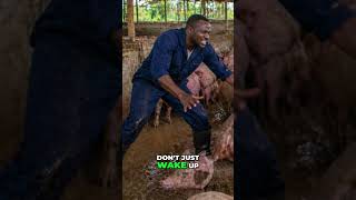 Avoid These 3 Pig Farming Mistakes! Start Smart. #shorts