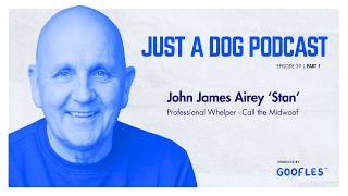 Dog whelping UK | Inside the unregulated world of dog whelping and canine fertility clinics | Part 1