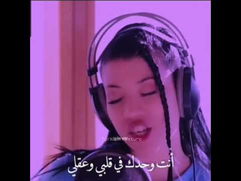 دانس مونكي بالتركي حالة واتساب مترجمة للعربية Monkey Dance In Turkish