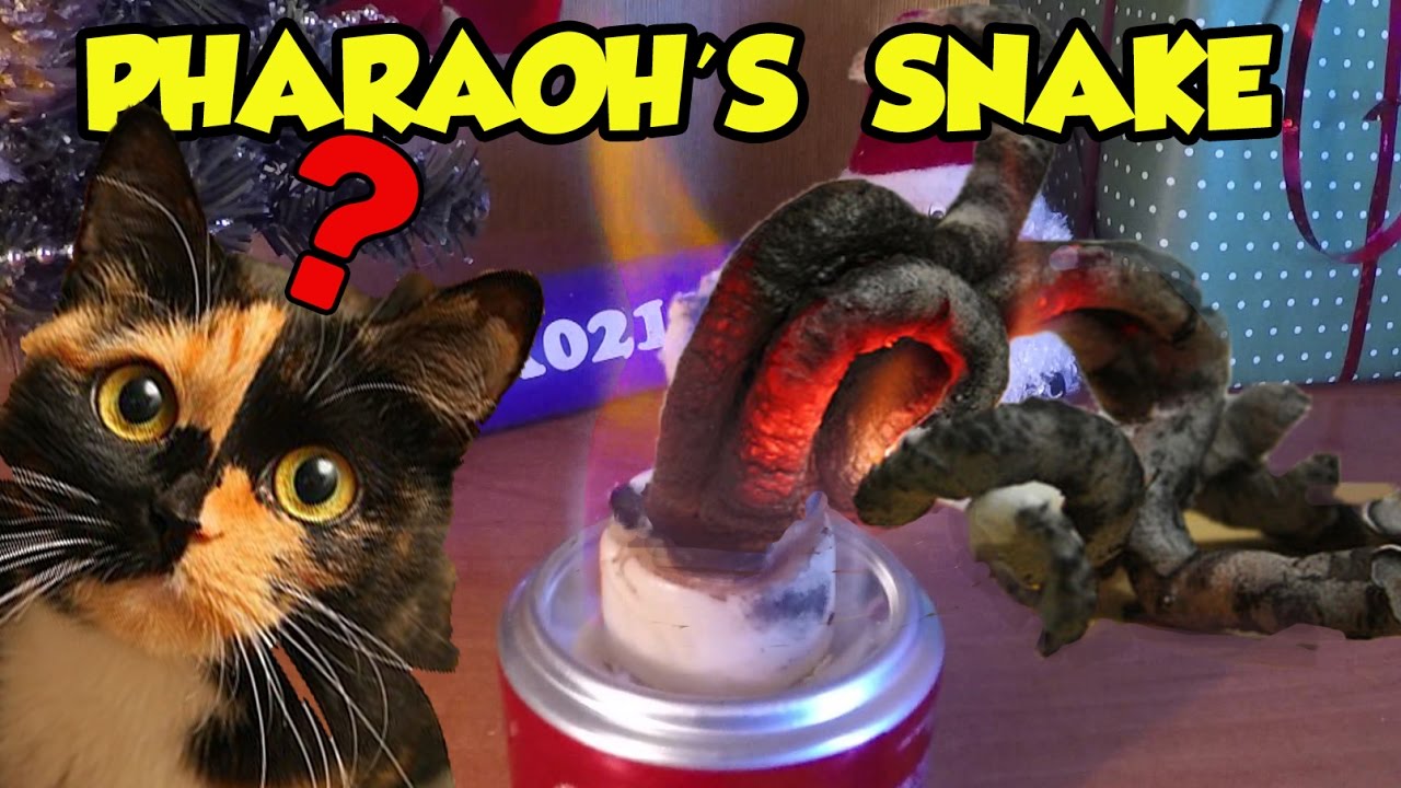 pharaoh s snake pharaoh s serpent science experiment youtube