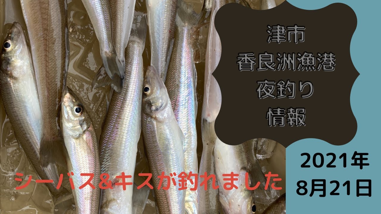 夜釣り 香良洲漁港でキス シーバス ゴンズイ爆釣で泣ける Youtube