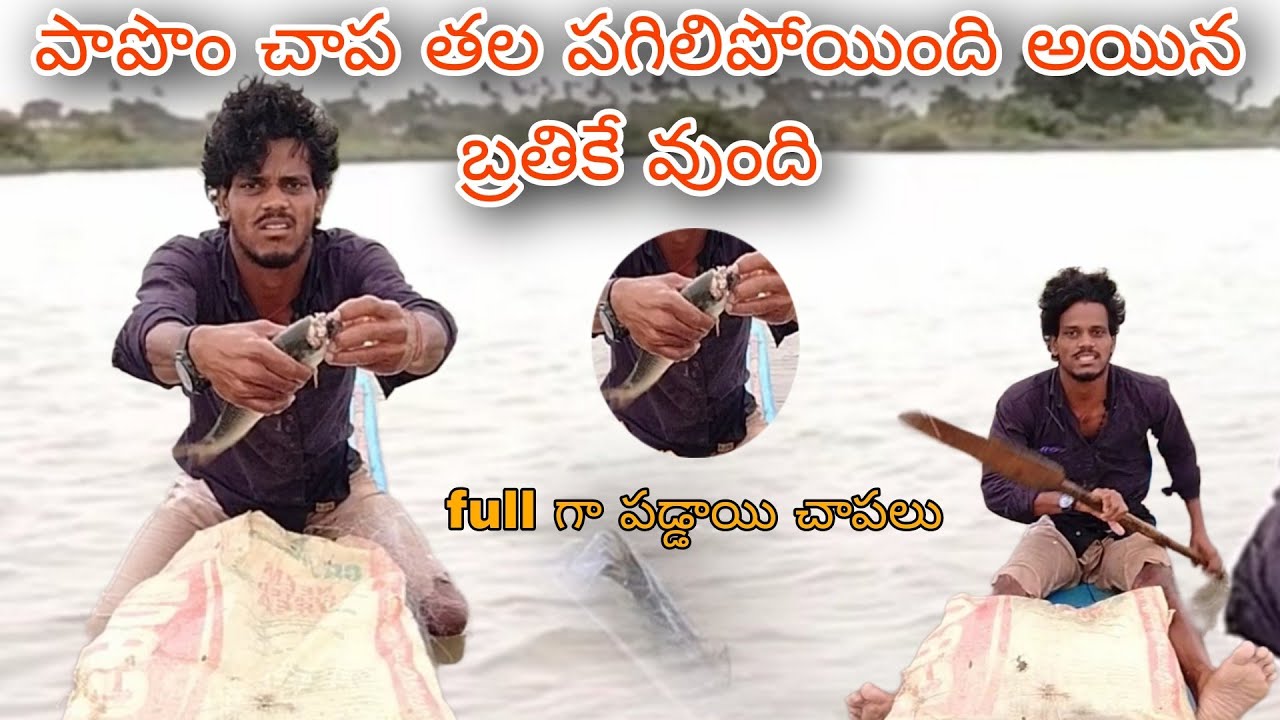 #fishing పపోం చాప తల పగిలిపోయింది అయిన బ్రతికే ఉంది full షికరి అయింది ఇ రోజు