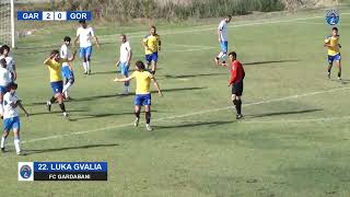 FC Gardabani 2-0 FC Gori (Highlights)