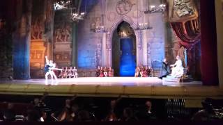 Kiev Swan Lake Act2 03 Pdd