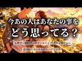 ⚠️お相手様の感情大暴れ‼️今あの人はあなたの事をどう思っているのか❓日に日に益々強い想いに胸キュン🫰