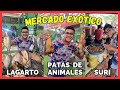 ASÍ ES EL MERCADO MÁS EXÓTICO DEL PERÚ!: Lagartos, serpientes, tortugas y monos!