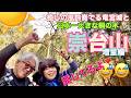 続・遠足気分で登山! 023 崇台山