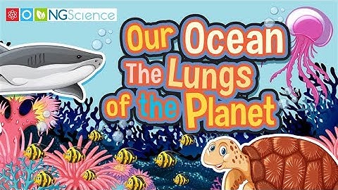 Our Ocean – The Lungs of the Planet