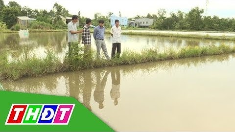 Dự án VNSAT - Chuyển đổi để phát triển bền vững | Tái cơ cấu nông nghiệp | THDT