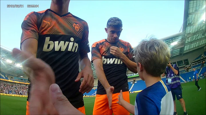 Brighton Vs Valencia -  Football Mascot Frankie To...
