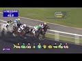 Race 2 - Donegal Football Team Cup Sponsored by Al Basti Equiworld