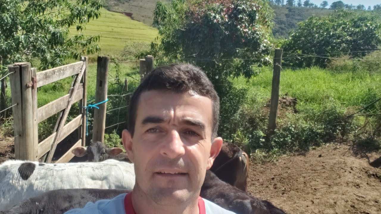 Preço da hectare de terra na  minha região MG!!