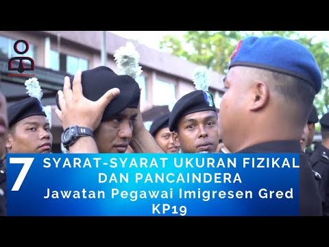 Video: Apakah Spider dalam ujian keselamatan?