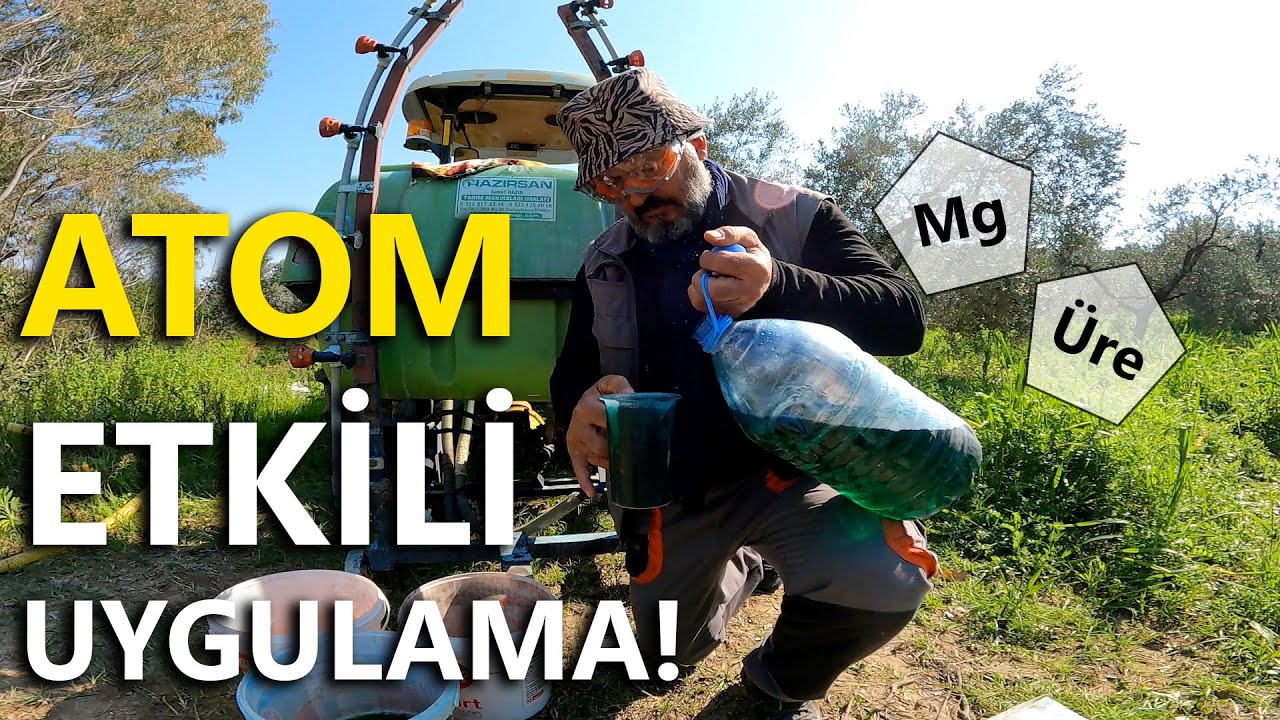 Zeytinde Magnezyum Nitrat ve Sıvı Üre Uygulaması