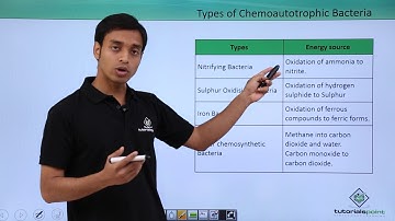 Class 11th – Kingdom Monera Nutrition - Chemoautotrophic Bacteria | Tutorials Point