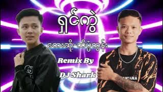 သိပ္ပံထွန်း-ရှင်ကွဲ Remix DJ Shark