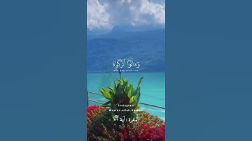 🕊🕊إن الذين ءامنوا وعملوا الصالحات وأقاموا الصلاة🌿🌿#تلاوة_خاشعة #البقرة #اسلام_صبحي  #الله