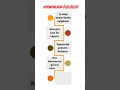Hormonların özellikleri nelerdir? #shorts