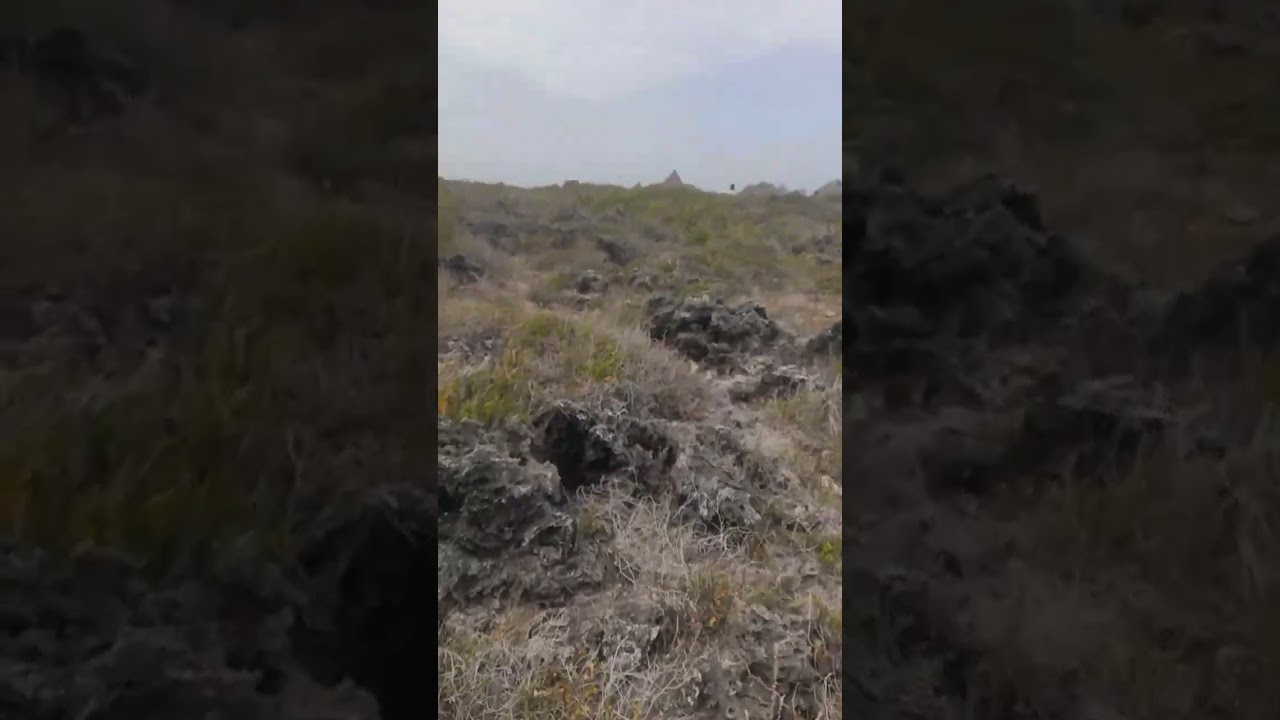 Beach Plot for Sell at Mayungu