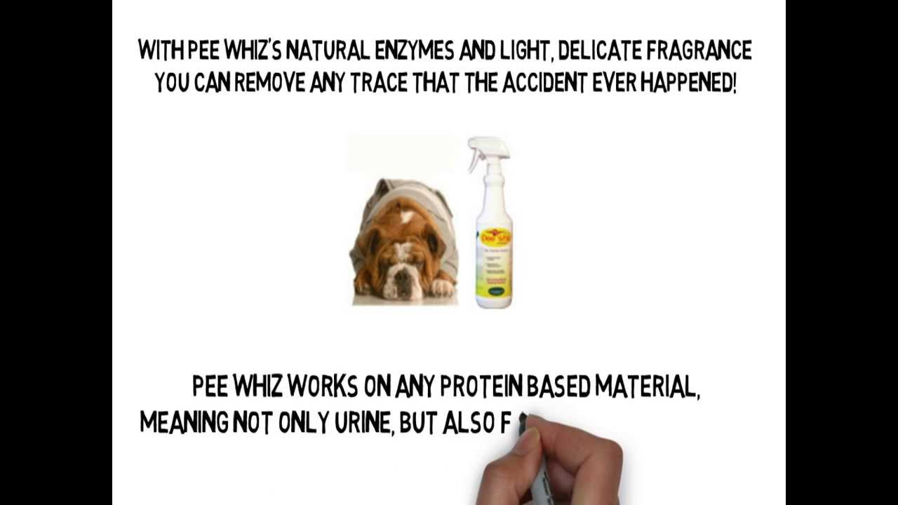 Cat Urine Odor Removal YouTube