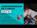 Delf b1  comprhension de lorale no 04  delf b1 listening practice test online