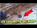 Что скрывается под водой? / Пока детишки спят - что делают взрослые? / Семья в деревне!