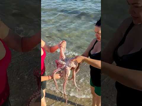 You Won T Believe How Two Girls Caught A Giant Octopus Royallqt