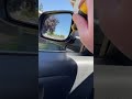 Power Mirror Possible Fix 